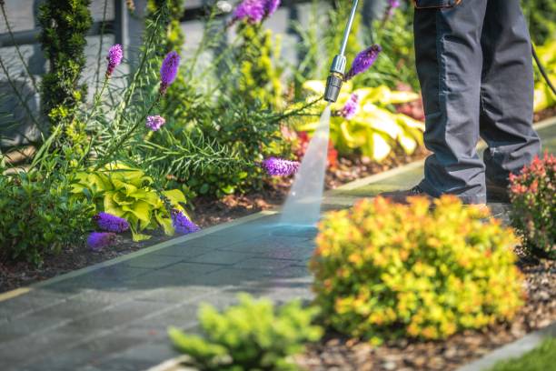 Best Sidewalk and Walkway Cleaning  in Honaker, VA