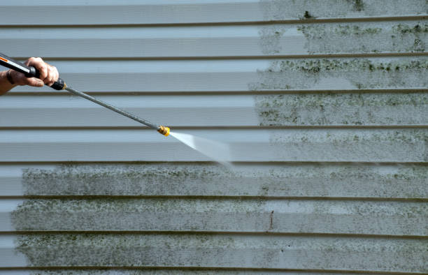Best Dumpster Area Cleaning  in Honaker, VA